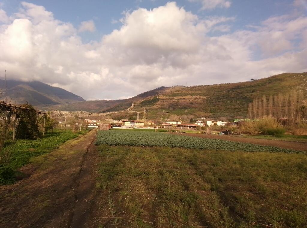 Immagine 1 di Terreno agricolo in vendita  in Via Masseria Pigliuocco 1 a Sarno
