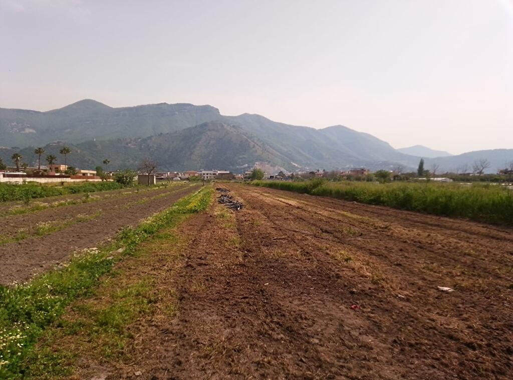 Immagine 1 di Terreno agricolo in vendita  in Via Fontanelle 1 a Sarno