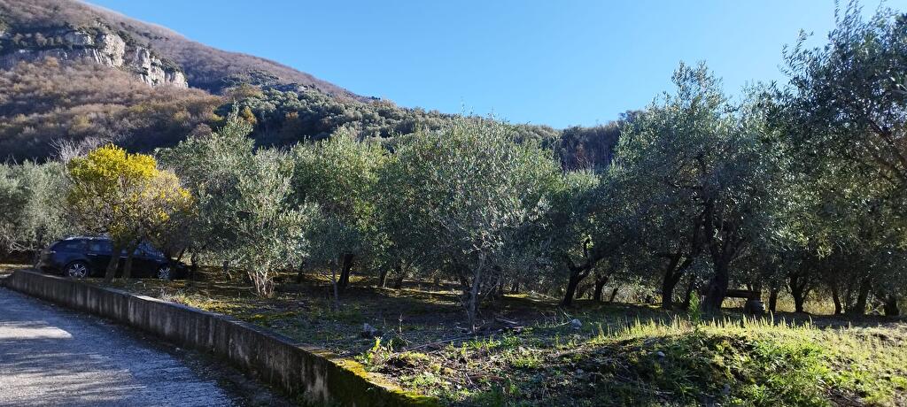 Immagine 1 di Terreno agricolo in vendita  in Via Calabrici 1 a Sarno