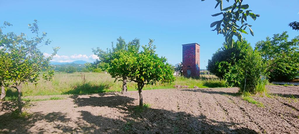 terreno agricolo in vendita a Casal Velino in zona Acquavella