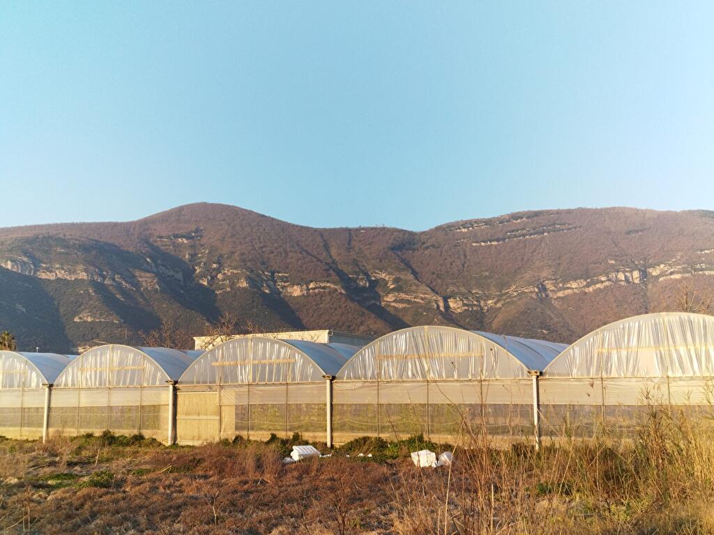Immagine 1 di Terreno agricolo in vendita  in Zona Industriale Sarno 1 a Sarno