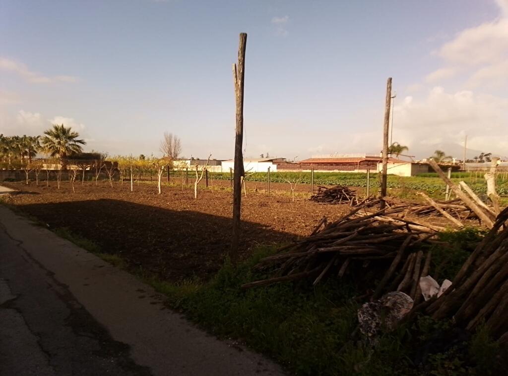 Immagine 1 di Terreno agricolo in vendita  in Via Ponte Alario 1 a Sarno