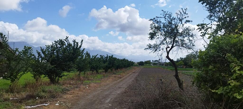 Immagine 1 di Terreno agricolo in vendita  in Via Fraina 1 a Sarno